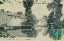 Les bords du LOIRET LL005.jpg